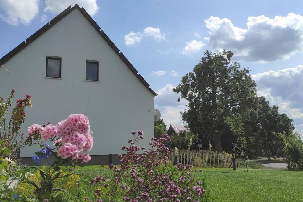 Storchennest - Ferienwohnung Am Storchenradweg Ketzür Exteriér fotografie