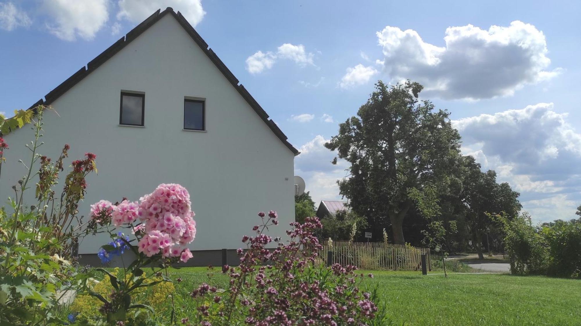 Storchennest - Ferienwohnung Am Storchenradweg Ketzür Exteriér fotografie