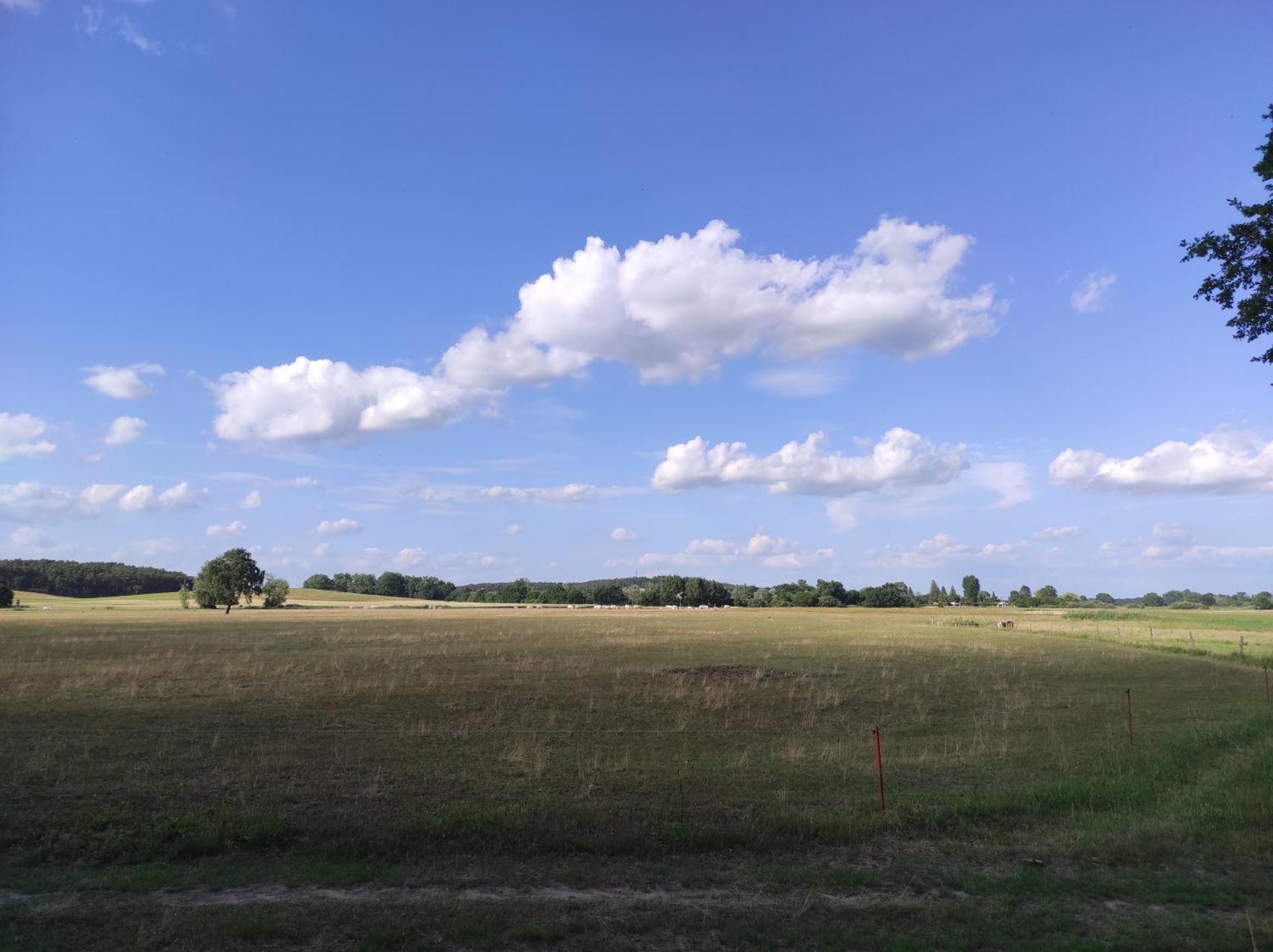 Storchennest - Ferienwohnung Am Storchenradweg Ketzür Exteriér fotografie