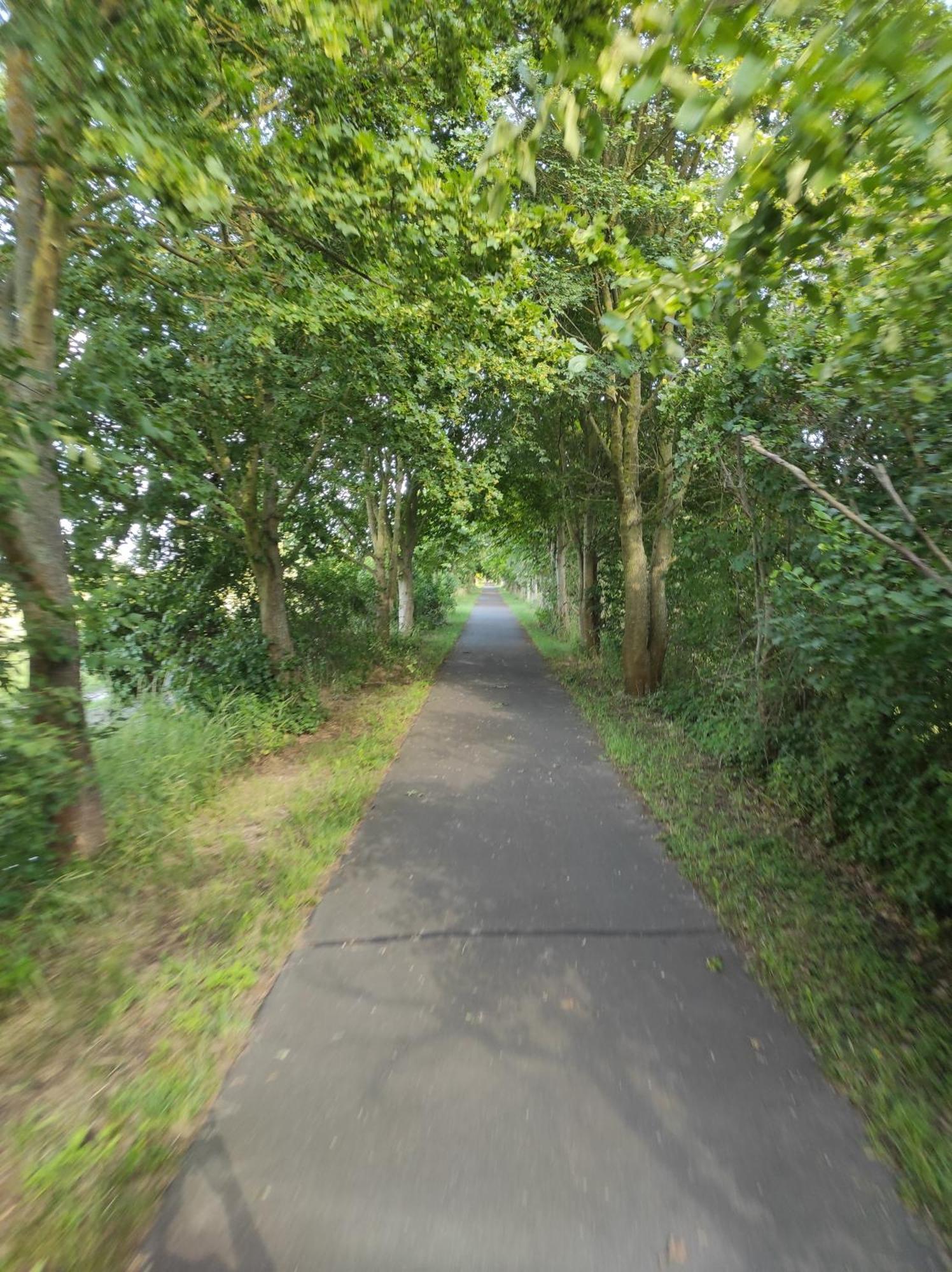 Storchennest - Ferienwohnung Am Storchenradweg Ketzür Exteriér fotografie